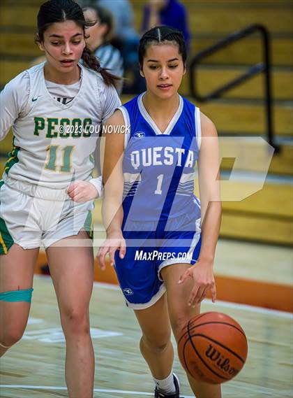 Thumbnail 3 in Questa vs. Pecos photogallery.