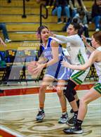 Photo from the gallery "Questa vs. Pecos"