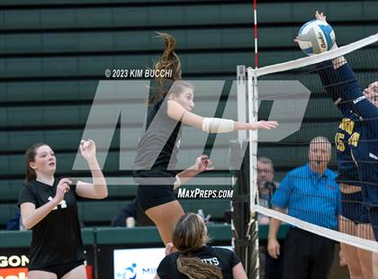 Thumbnail 3 in Clarkston vs. Walled Lake Northern photogallery.