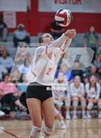 Photo from the gallery "Cypress Creek @ Memorial"