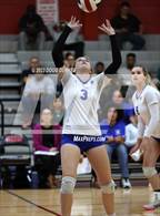 Photo from the gallery "Cypress Creek @ Memorial"