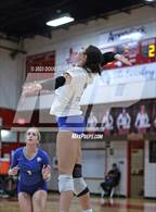 Photo from the gallery "Cypress Creek @ Memorial"