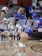 Photo from the gallery "Cypress Creek @ Memorial"