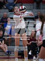 Photo from the gallery "Cypress Creek @ Memorial"