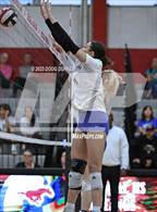 Photo from the gallery "Cypress Creek @ Memorial"