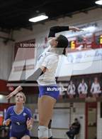 Photo from the gallery "Cypress Creek @ Memorial"
