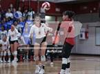 Photo from the gallery "Cypress Creek @ Memorial"