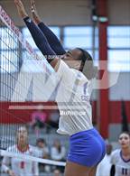 Photo from the gallery "Cypress Creek @ Memorial"