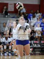 Photo from the gallery "Cypress Creek @ Memorial"