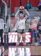 Photo from the gallery "Cypress Creek @ Memorial"