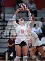 Photo from the gallery "Cypress Creek @ Memorial"