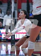 Photo from the gallery "Cypress Creek @ Memorial"