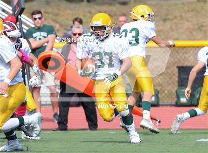 Thumbnail 1 in Morris Knolls @ Morristown photogallery.