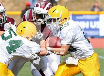 Thumbnail 1 in Morris Knolls @ Morristown photogallery.