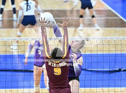Thumbnail 1 in Lutheran vs. Windsor (CHSAA 4A Q-Final) photogallery.