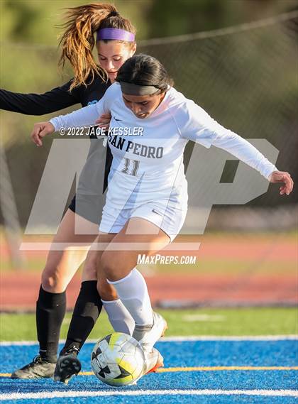 Thumbnail 3 in San Pedro @ El Camino Real (CIF-LA Div-1 Quarterfinal) photogallery.