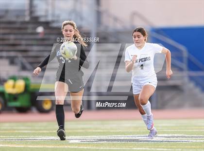 Thumbnail 2 in San Pedro @ El Camino Real (CIF-LA Div-1 Quarterfinal) photogallery.