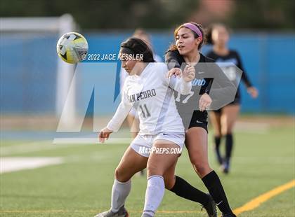 Thumbnail 3 in San Pedro @ El Camino Real (CIF-LA Div-1 Quarterfinal) photogallery.