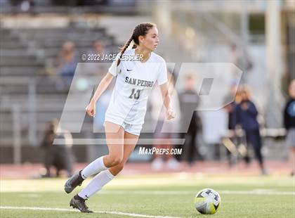 Thumbnail 3 in San Pedro @ El Camino Real (CIF-LA Div-1 Quarterfinal) photogallery.