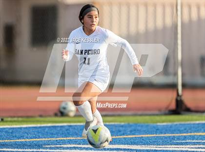 Thumbnail 3 in San Pedro @ El Camino Real (CIF-LA Div-1 Quarterfinal) photogallery.