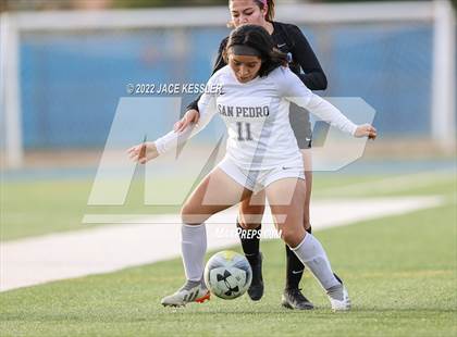 Thumbnail 2 in San Pedro @ El Camino Real (CIF-LA Div-1 Quarterfinal) photogallery.