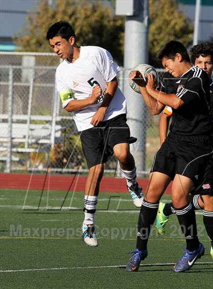 Thumbnail 3 in Vacaville @ Rodriguez photogallery.