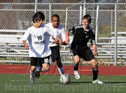 Thumbnail 2 in Vacaville @ Rodriguez photogallery.