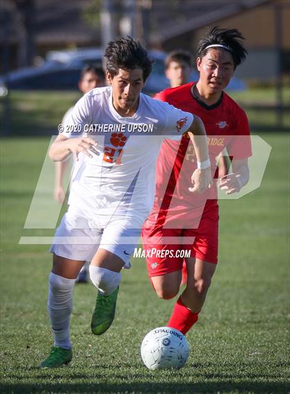 Thumbnail 1 in Poly vs Woodbridge (CIF D2 First Round Playoff) photogallery.