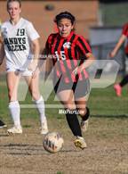 Photo from the gallery "Bandys @ Newton-Conover"