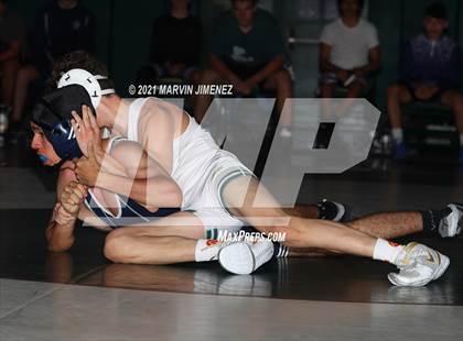 Thumbnail 3 in Royal vs Camarillo photogallery.