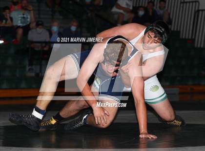 Thumbnail 1 in Royal vs Camarillo photogallery.