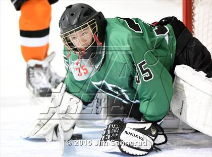 Thumbnail 2 in Yorktown @ White Plains photogallery.