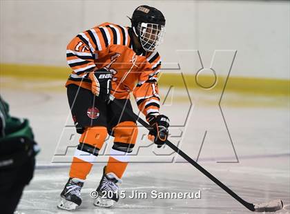 Thumbnail 3 in Yorktown @ White Plains photogallery.