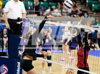 Thumbnail 3 in Wiggins vs. Hoehne (CHSAA 2A Round 1) photogallery.
