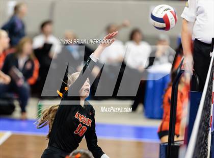 Thumbnail 2 in Wiggins vs. Hoehne (CHSAA 2A Round 1) photogallery.