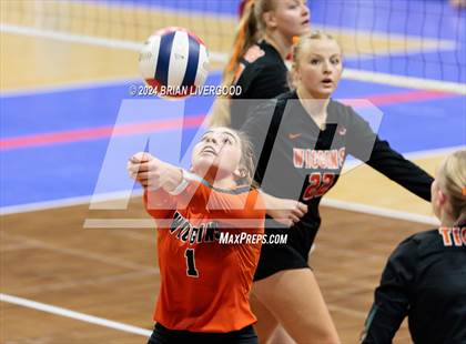 Thumbnail 3 in Wiggins vs. Hoehne (CHSAA 2A Round 1) photogallery.