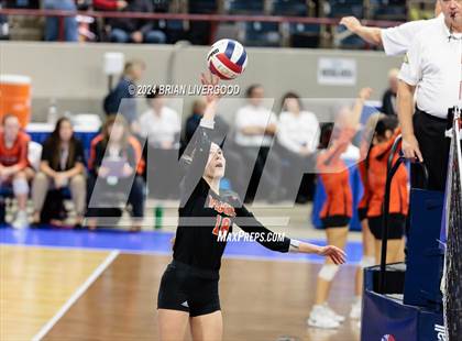 Thumbnail 1 in Wiggins vs. Hoehne (CHSAA 2A Round 1) photogallery.
