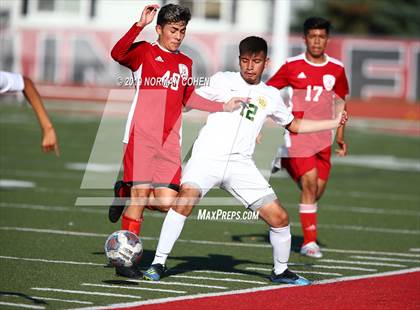 Thumbnail 3 in Waukegan @ Mundelein photogallery.
