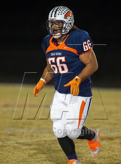 Thumbnail 1 in Powhatan @ Briar Woods photogallery.