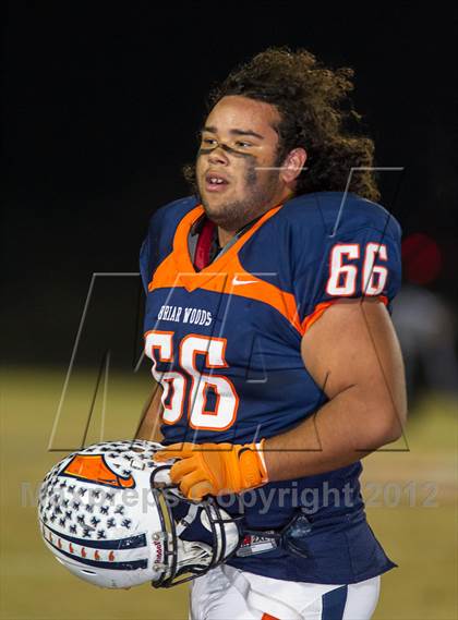 Thumbnail 3 in Powhatan @ Briar Woods photogallery.