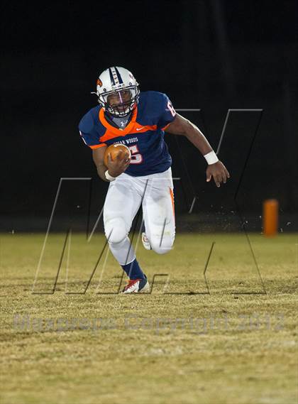 Thumbnail 1 in Powhatan @ Briar Woods photogallery.