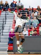 Photo from the gallery "Fossil Ridge @ Loveland"