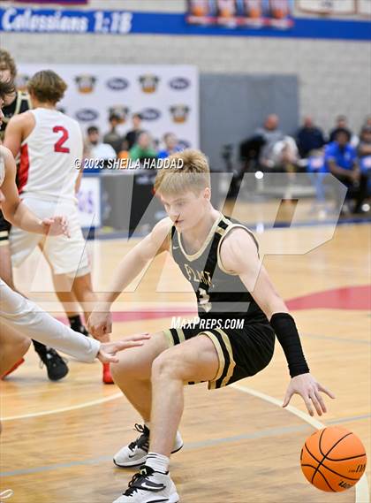 Thumbnail 2 in Plant vs Northside Christian  (Sun Bash Tourney) photogallery.