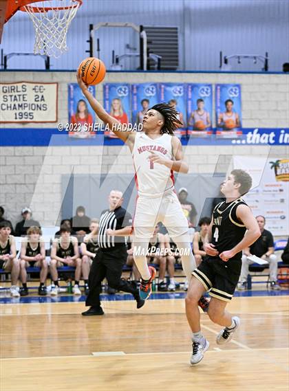 Thumbnail 3 in Plant vs Northside Christian  (Sun Bash Tourney) photogallery.
