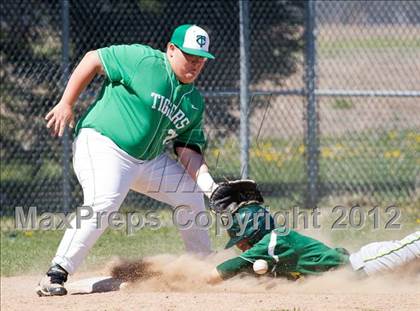 Thumbnail 3 in Northeastern @ Triton Central photogallery.