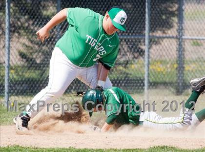 Thumbnail 1 in Northeastern @ Triton Central photogallery.
