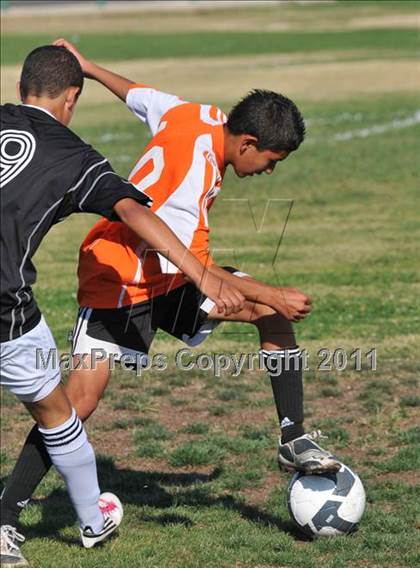 Thumbnail 1 in Dixon @ Mesa Verde photogallery.