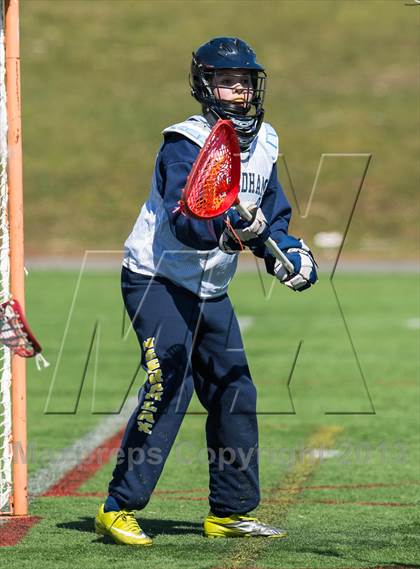 Thumbnail 1 in Lincoln-Sudbury @ Needham photogallery.