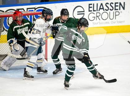 Thumbnail 3 in Westwood @ Needham photogallery.