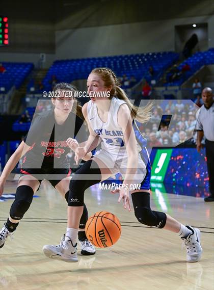 Thumbnail 2 in  Mammoth Spring vs. Norfork (AAA 1A State Final) photogallery.